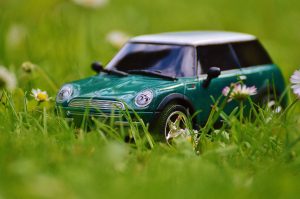 Das Bild zeigt ein Mini-Cooper Modell im Gras